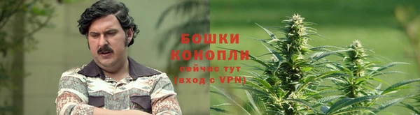 дурь Вяземский