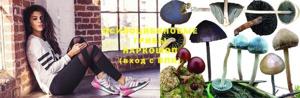 бутират Волосово