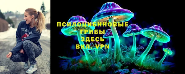 дурь Вяземский