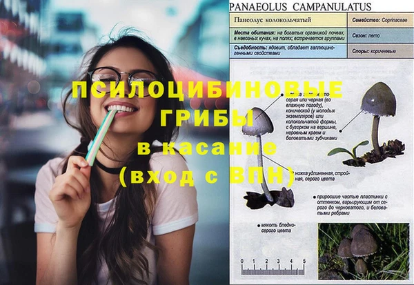 прущая мука Тихвин